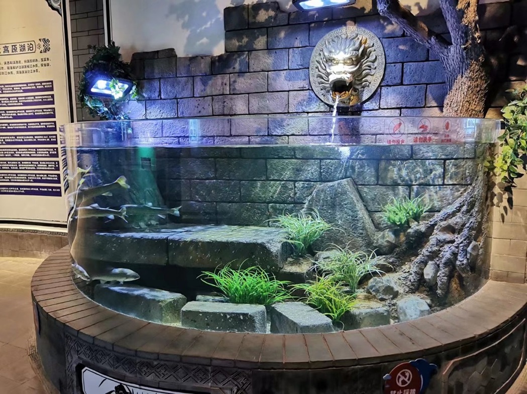 Fish Tank نفق