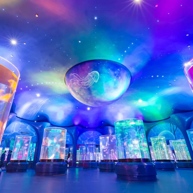 حوض سمك قنديل البحر - Leyu