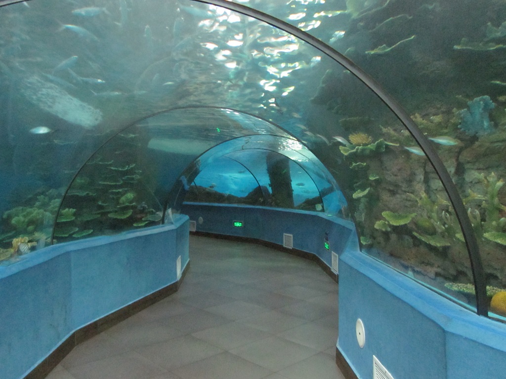 عالم المحيط القطبي Hefei Hanhai - نفق Leyu Aquarium (11)