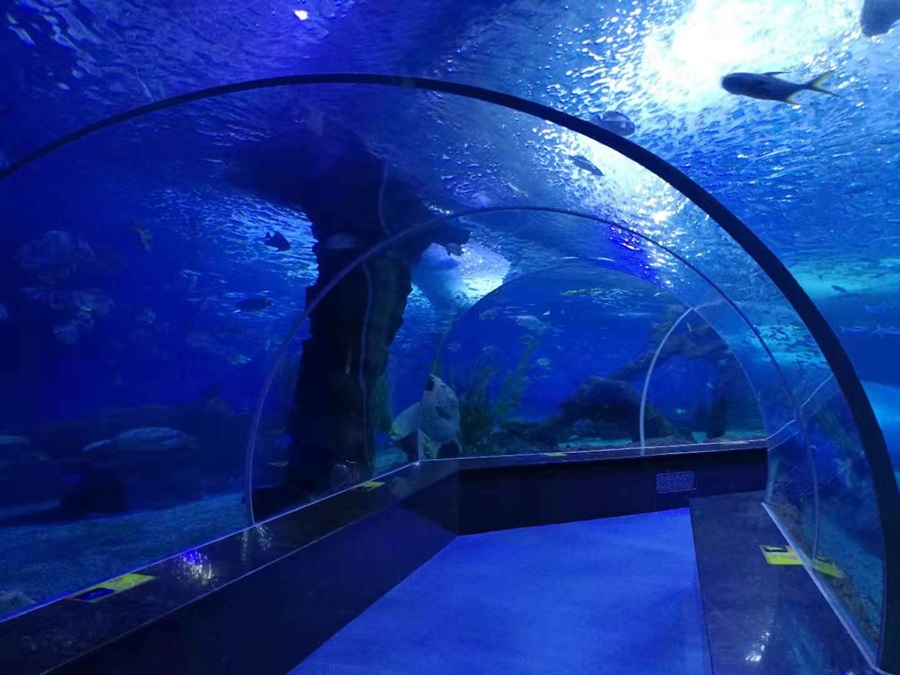 نفق Leyu Aquarium - عالم المحيط القطبي لونغتشوان في مقاطعة قويتشو (7)