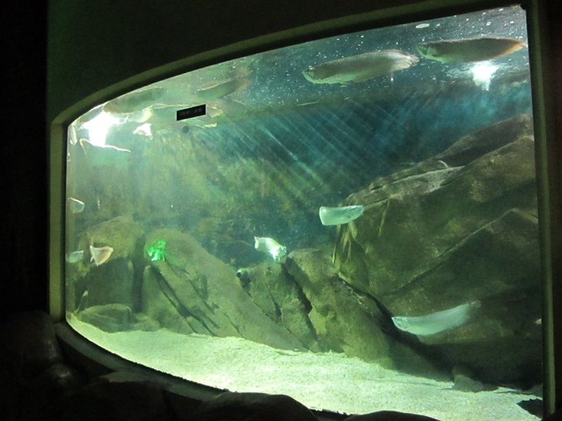 Shandong Penglai Underwater World - نافذة أكريليك Leyu(2)