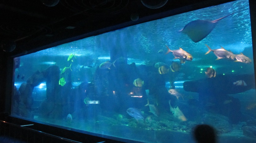 Shandong Penglai Underwater World - نافذة أكريليك Leyu (5)
