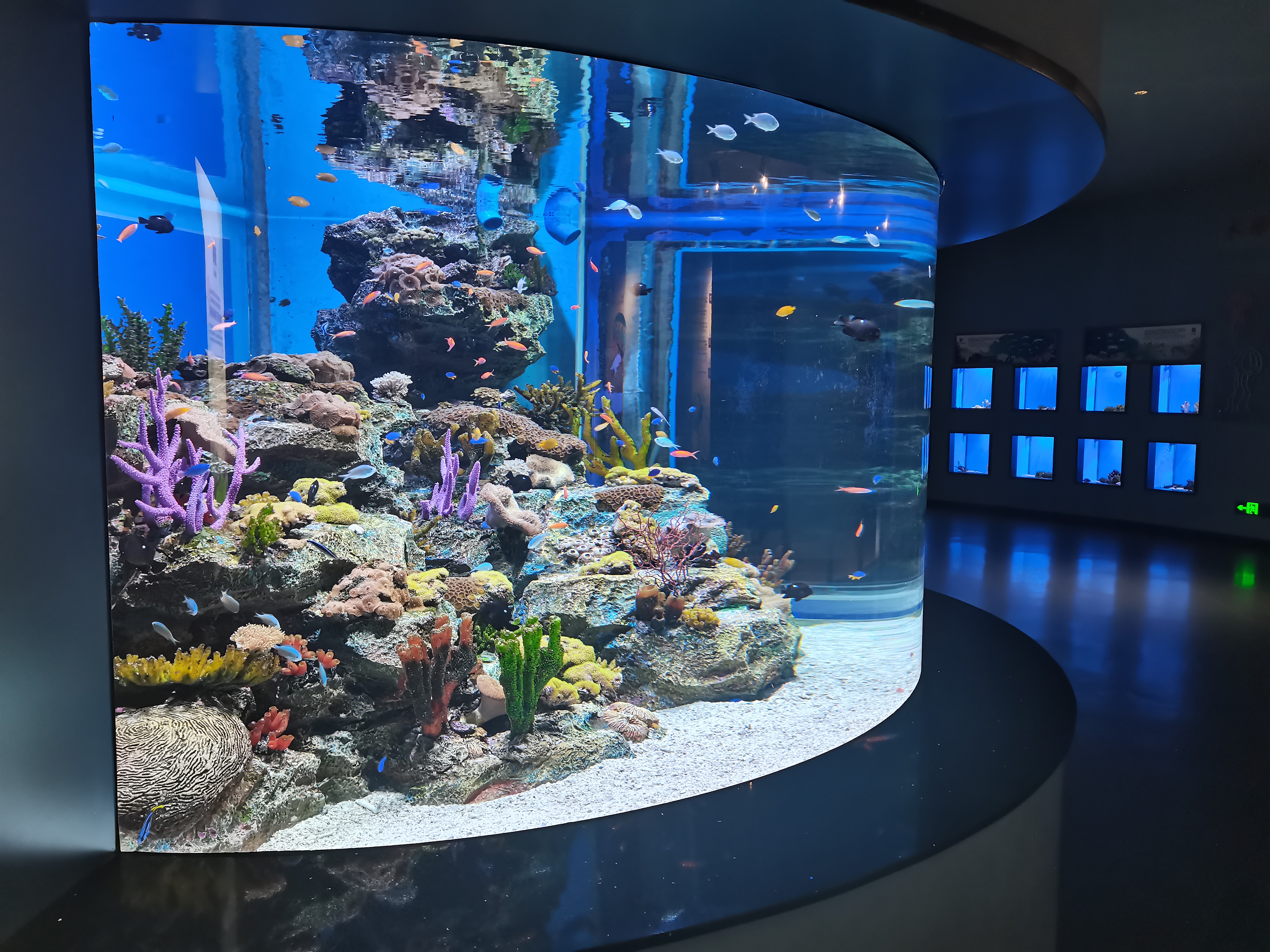حوض للأسماك الأكريليك - LEYU
