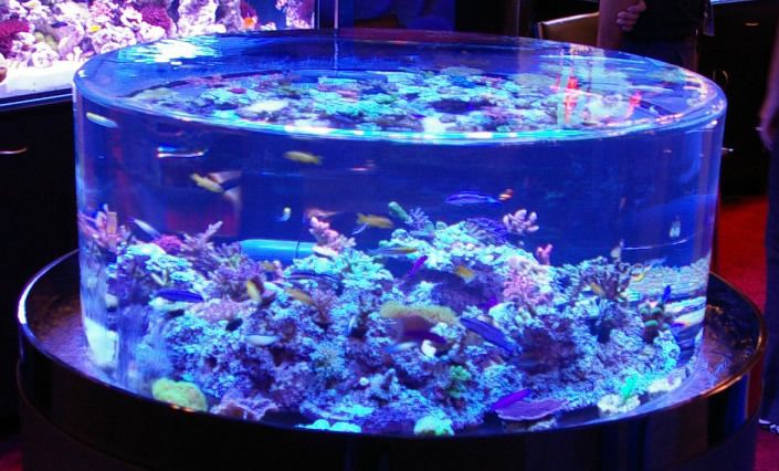 Sea clear acrylic aquarium حوض سمك أكريليك شفاف للبحر