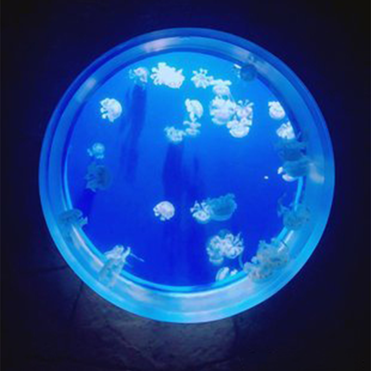 100 gal acrylic aquarium حوض سمك أكريليك 100 جالون