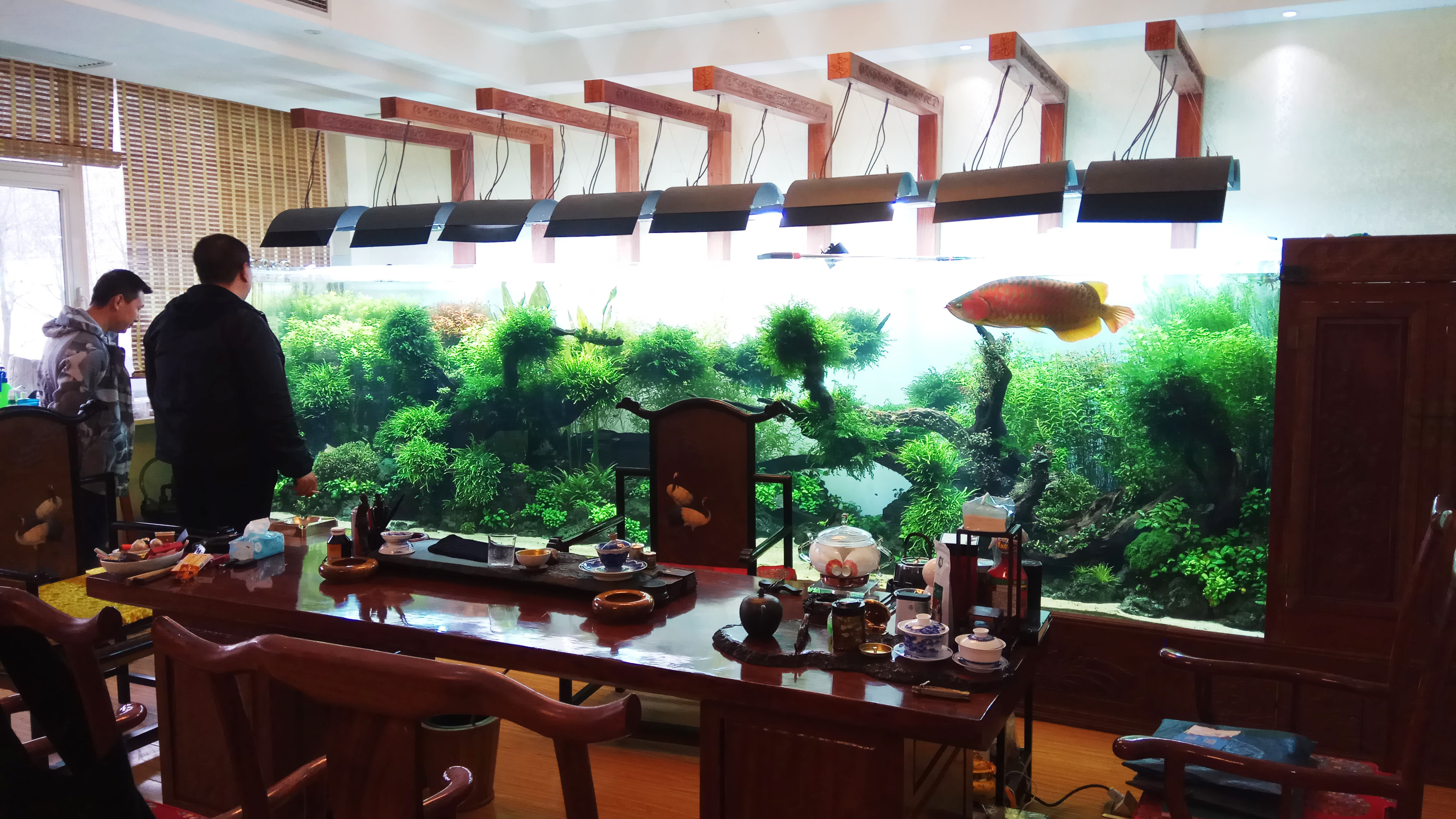 Aquariums Fish Tanks أحواض السمك أحواض السمك