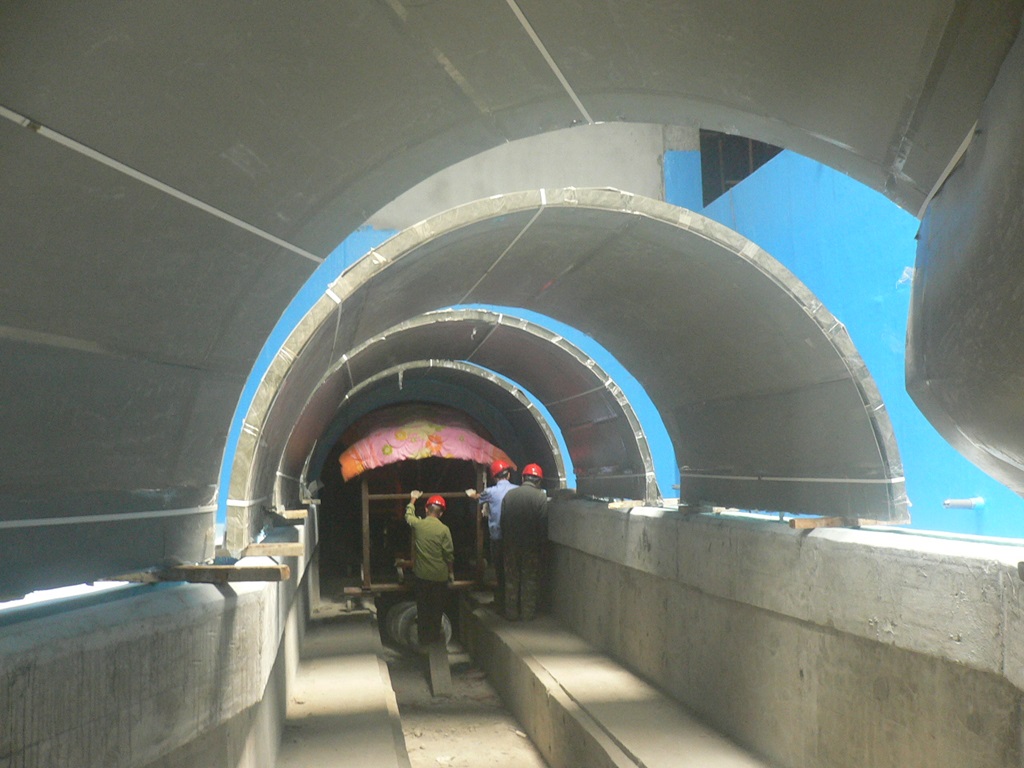 عالم المحيط القطبي Hefei Hanhai - نفق Leyu Aquarium (5)