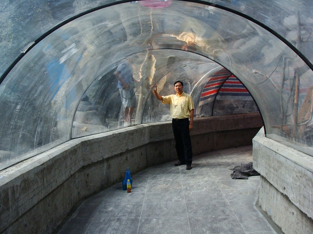 عالم المحيط القطبي Hefei Hanhai - نفق Leyu Aquarium