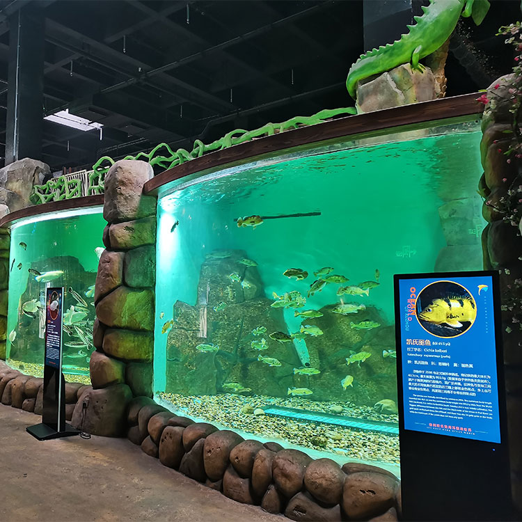نافذة Leyu Arylic Aquarim