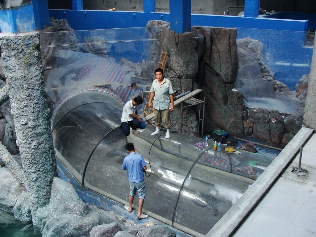 عالم المحيط القطبي Hefei Hanhai - نفق Leyu Aquarium (3)