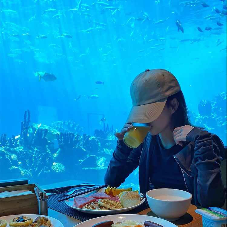 aquarium cafes مقاهي الأحياء المائية