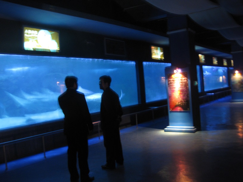 Shandong Penglai Underwater World - نافذة أكريليك Leyu