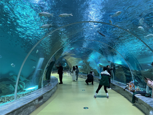 مطعم Oceanarium كيفية التخلص من الطحالب في حوض السمك Leyu التخصيص الاحترافي - Leyu
