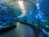 Aqualife Aquarium تم بناؤه بواسطة Leyu Acrylic Aquarium Factory - Leyu