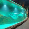 نافذة أكريليك مخصصة لحوض السمك Oceanarium-Leyu مصنع منتجات صفائح الأكريليك 