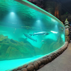 نافذة أكريليك مخصصة لحوض السمك Oceanarium-Leyu مصنع منتجات صفائح الأكريليك 