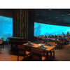 أكمل مصنع Leyu Acrylic Aquarium Factory أكثر من 70 تصميمًا معماريًا لأحواض السمك - Leyu