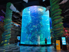 Aqualife Aquarium تم بناؤه بواسطة Leyu Acrylic Aquarium Factory - Leyu