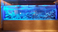 //iqrorwxhmmkrpi5p-static.ldycdn.com/cloud/pjBmqKmipmSRploqokojkr/How-to-own-Acrylic-Aquariums-Plastic-Fish-aquariums-Leyu.jpg