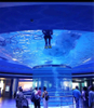 حوض السمك في لشبونة يستكشف حوض السمك في عالم المحيط، مصنع Leyu Acrylic Aquarium متخصص في بناء حوض السمك. - ليو