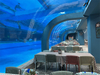 أكمل مصنع Leyu Acrylic Aquarium Factory أكثر من 70 تصميمًا معماريًا لأحواض السمك - Leyu