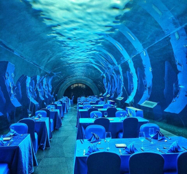 هل يمكن بناء مطعم يتميز بمياه الأكريليك تحت الماء - حمامات سباحة أكريليك Leyu للبيع