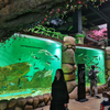 يأخذك مصنع Le Yu Acrylic Factory لاستكشاف حوض السمك Sea World - Leyu