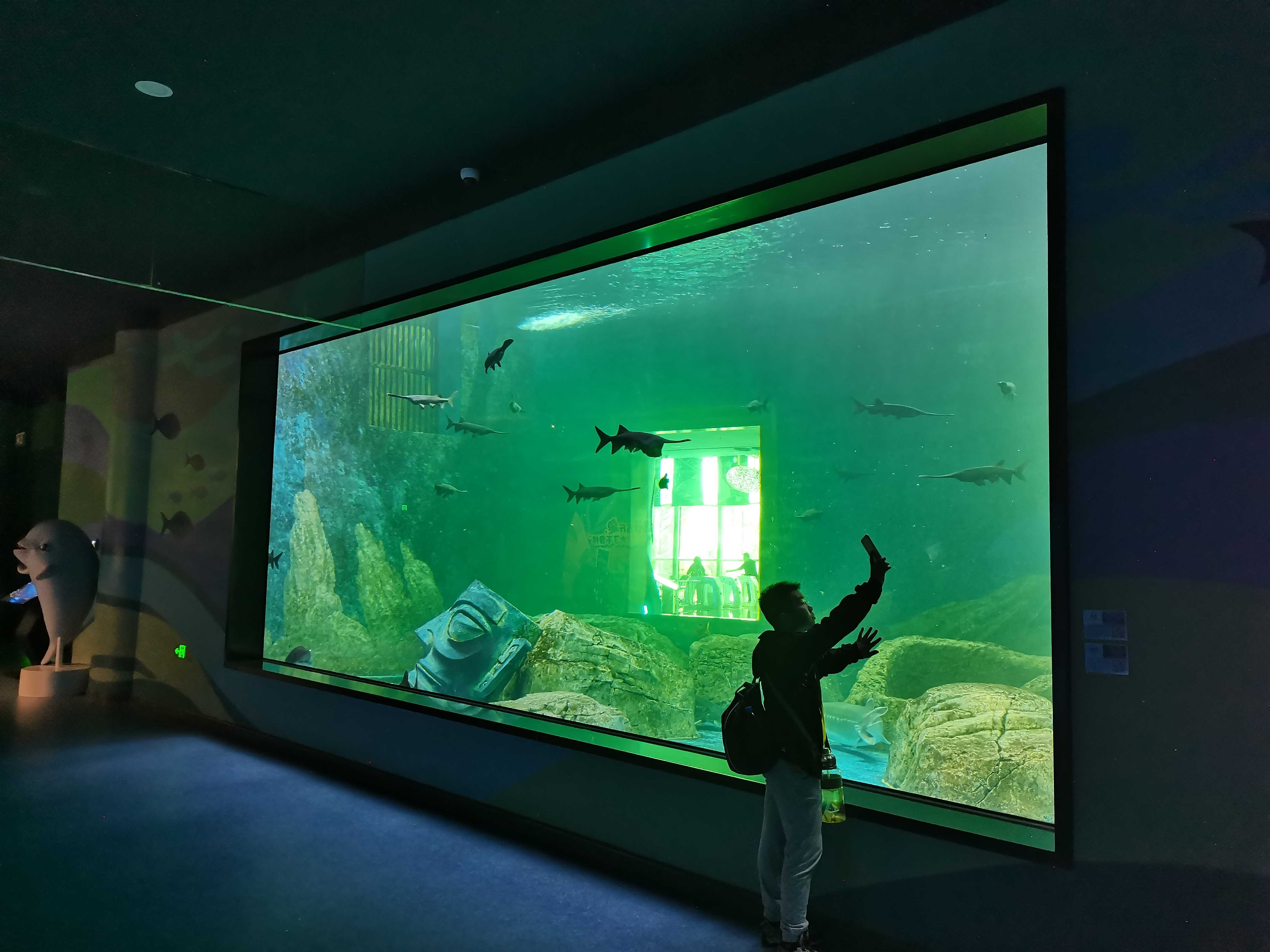 يأخذك مصنع Le Yu Acrylic Factory لاستكشاف حوض السمك Sea World - Leyu