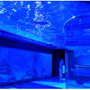 Oceanarium Chicago Oceanarium Restaurant كيفية تنظيف حوض السمك مصنع Leyu لحوض السمك من الأكريليك - Leyu