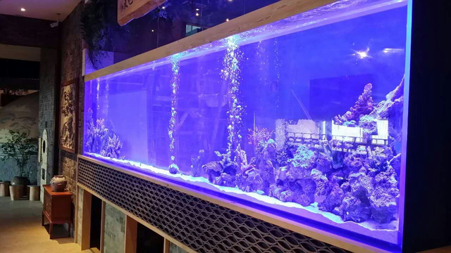 مصنع توريد حوض أسماك أكريليك كبير مخصص لحوض السمك Leyu Acrylic Factory مخصص لك - LEYU