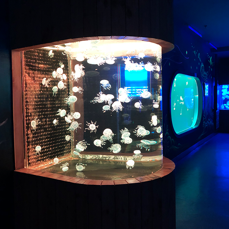 يتخصص مصنع Bullet Aquarium Acrylic في المنتجات المخصصة التي تبلغ مدة صلاحيتها 20 عامًا - LEYU