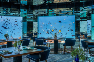 Aqualife Aquarium تم بناؤه بواسطة Leyu Acrylic Aquarium Factory - Leyu