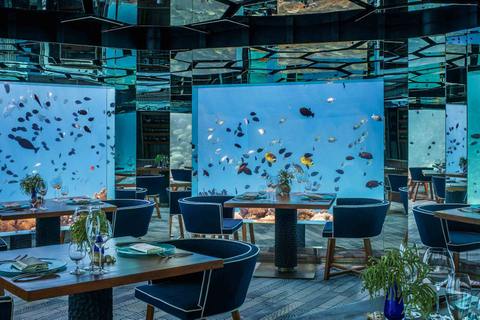 Aqualife Aquarium تم بناؤه بواسطة Leyu Acrylic Aquarium Factory - Leyu