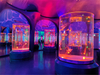 كم عدد المتنزهات البحرية في العالم التي تعد أحواض السمك العامة Acrylic Aquarium - Leyu
