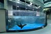 Aqualife Aquarium تم بناؤه بواسطة Leyu Acrylic Aquarium Factory - Leyu