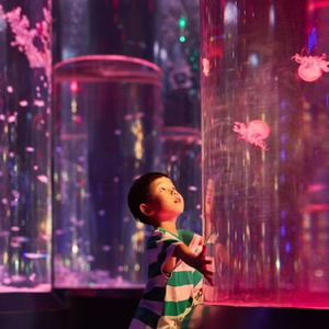 Jellyfish Aquarium Kits Leyu متخصصة في تخصيص خزانات قنديل البحر لك - Leyu