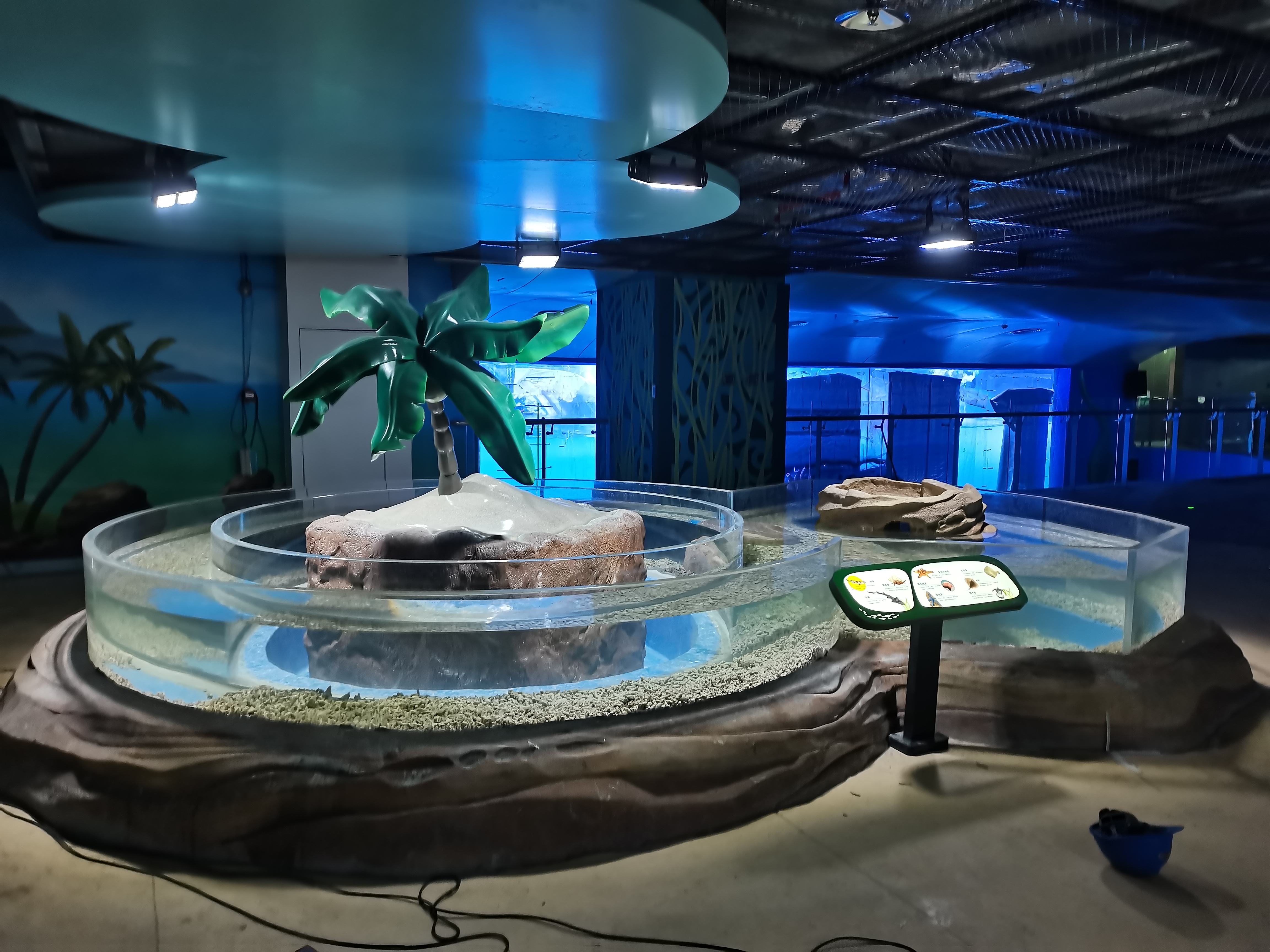 Aqualife Aquarium تم بناؤه بواسطة Leyu Acrylic Aquarium Factory - Leyu
