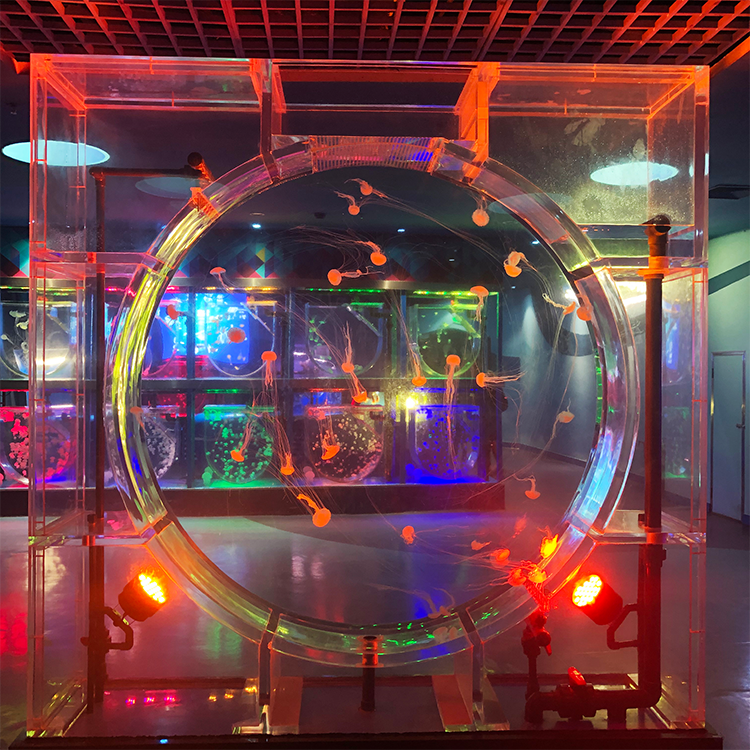 Jellyfish Aquarium Kits Leyu متخصصة في تخصيص خزانات قنديل البحر لك - Leyu