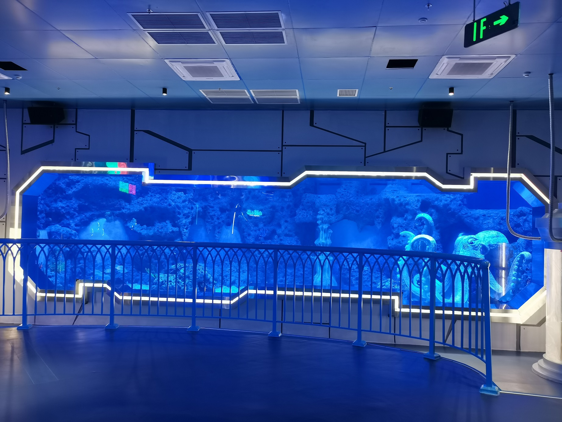 حوض أسماك أكريليك كبير للبيع مصنع Leyu Acrylic Factory متخصص في التخصيص لك لضمان عدم تحوله إلى اللون الأصفر لمدة 20 عامًا - LEYU