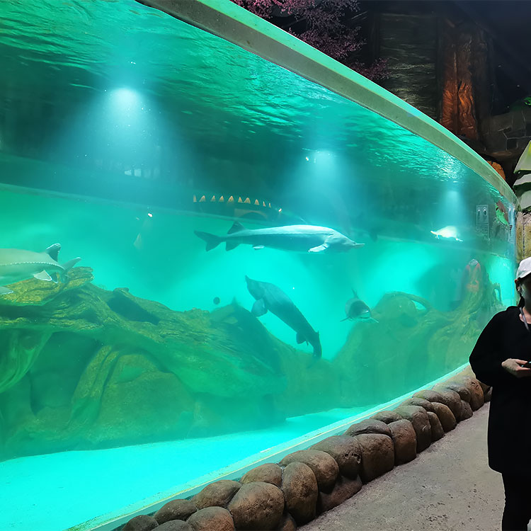 نافذة أكريليك مخصصة لحوض السمك Oceanarium-Leyu مصنع منتجات صفائح الأكريليك 