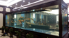 مصنع توريد حوض أسماك أكريليك كبير مخصص لحوض السمك Leyu Acrylic Factory مخصص لك - LEYU